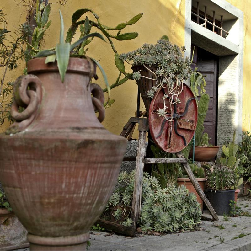 Il Poggetto Farm stay