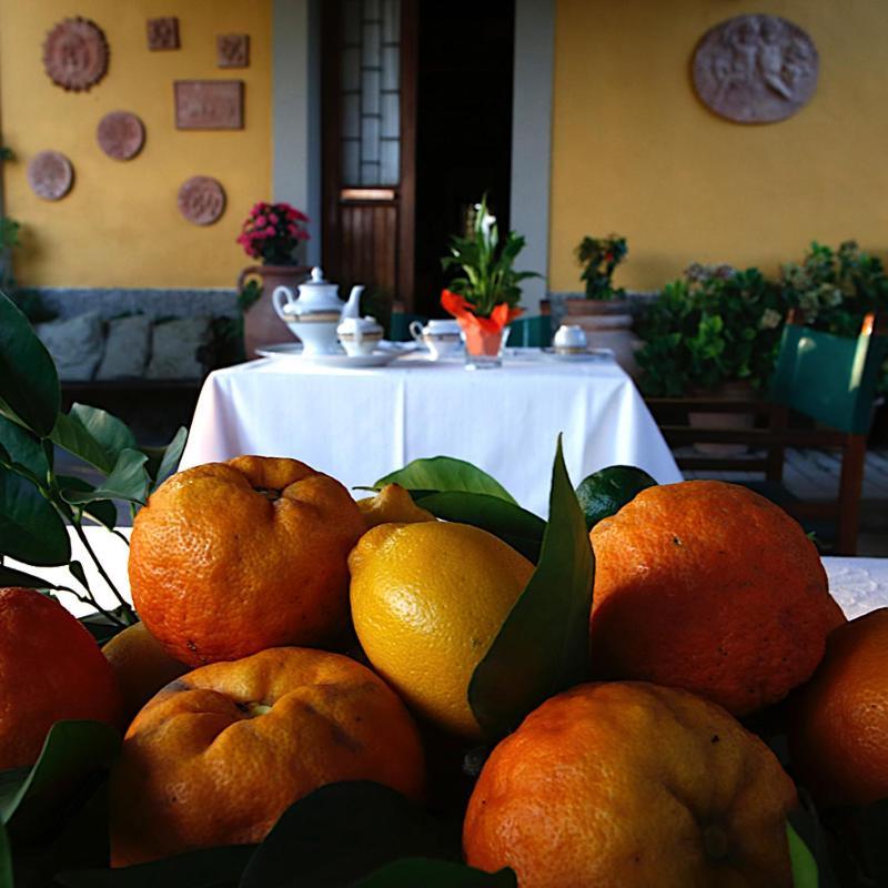 Il Poggetto Farm stay Torre